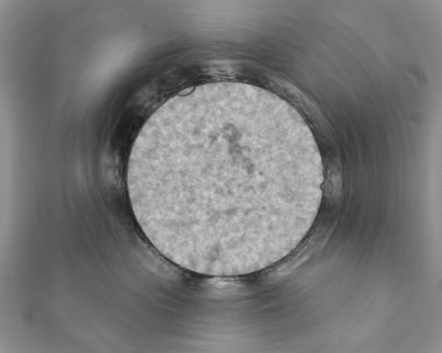 X0000111360477200908211301