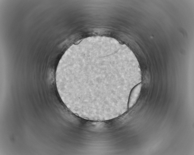 X0000111360478200908211301