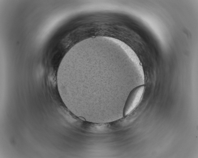 X0000111360479200908211301