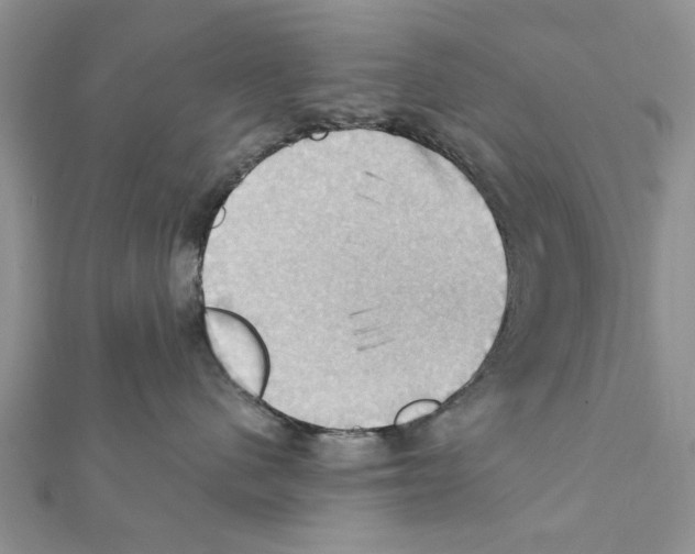 X0000111360480200908211301