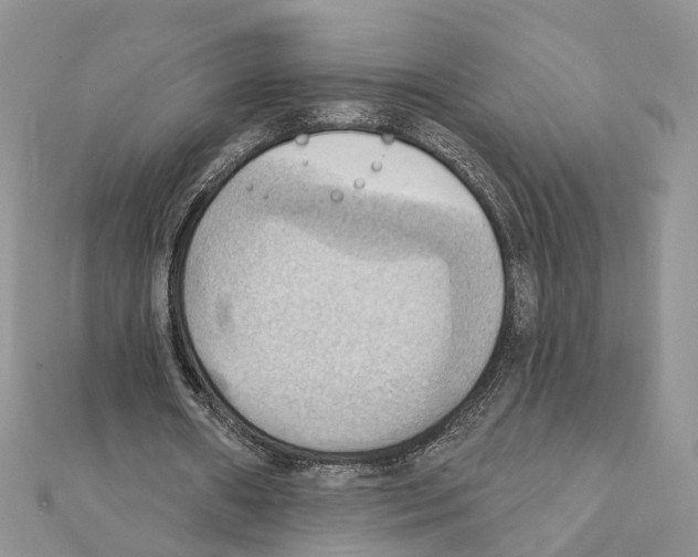 X0000111360482200908211300