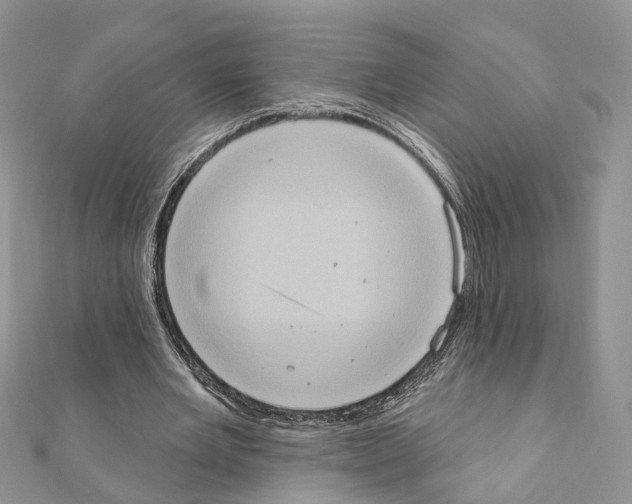 X0000111360485200908211300