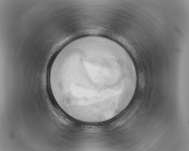 X0000111360486200908211300
