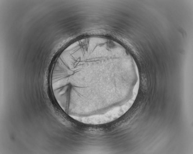 X0000111360487200908211300