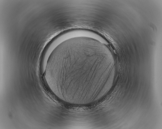 X0000111360488200908211300