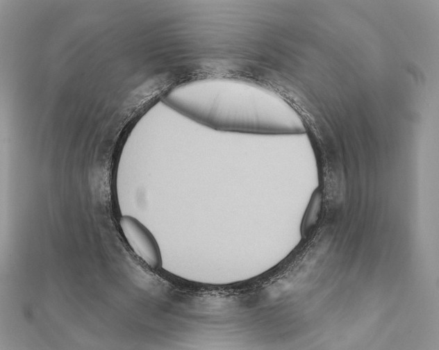 X0000111360489200908211300