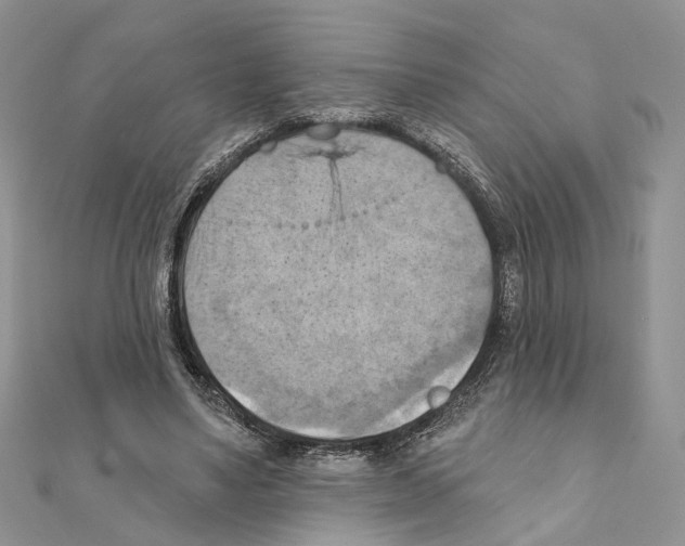 X0000111360491200908211300