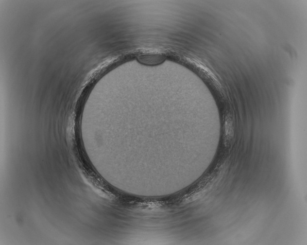 X0000111360492200908211300