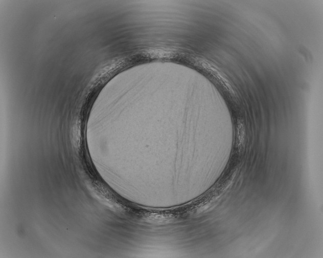 X0000111360494200908211300