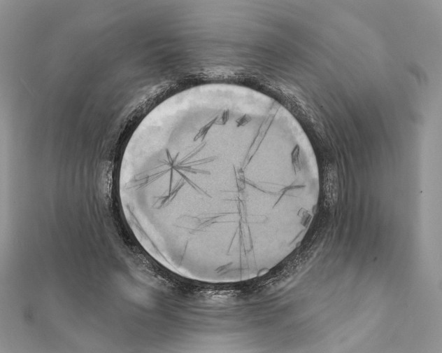 X0000111360495200908211300
