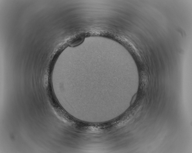 X0000111360496200908211300