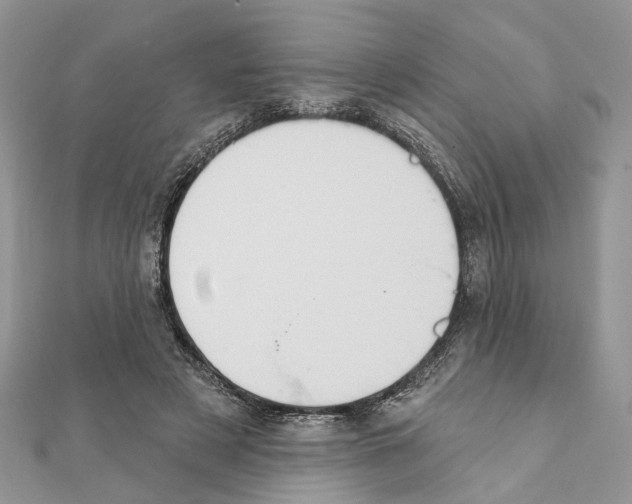 X0000111360497200908211300
