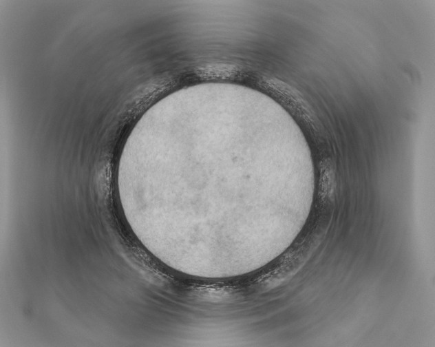 X0000111360498200908211300