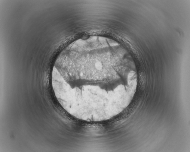 X0000111360499200908211300