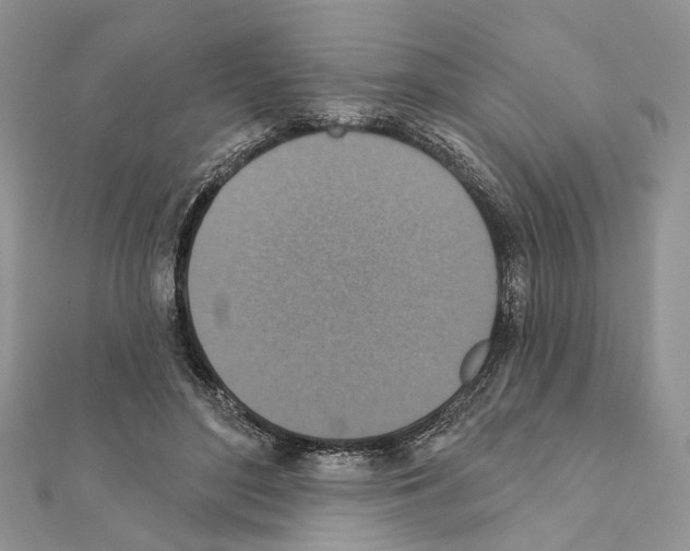X0000111360500200908211300