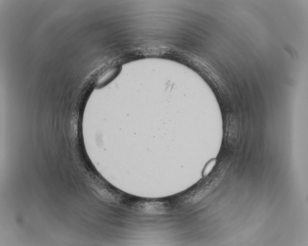 X0000111360501200908211300