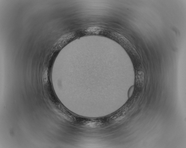 X0000111360504200908211300