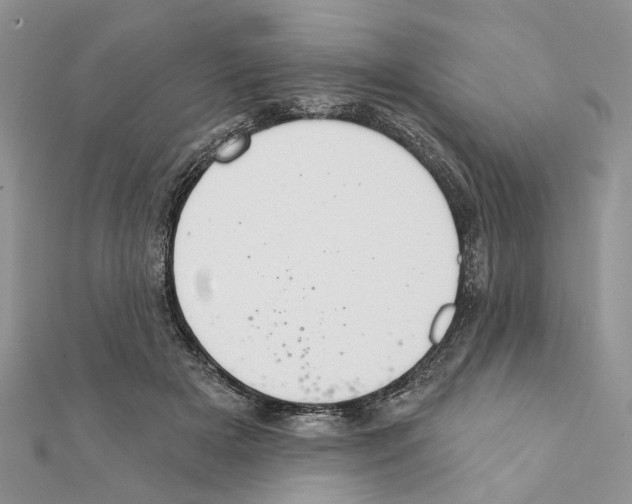 X0000111360505200908211300