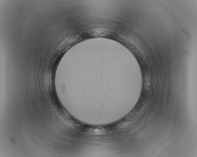 X0000111360506200908211300