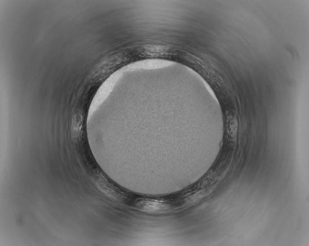 X0000111360507200908211300