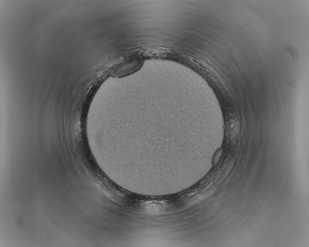X0000111360508200908211300