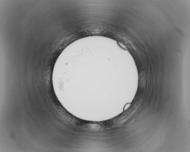 X0000111360509200908211300