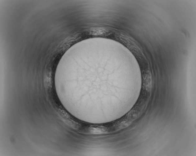 X0000111360510200908211300