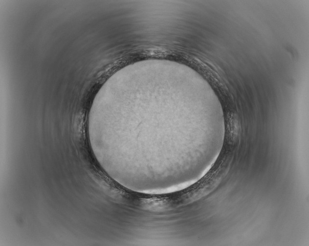X0000111360511200908211300