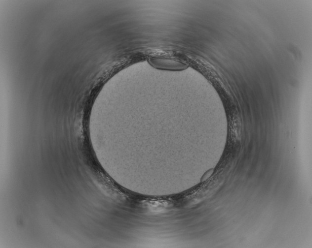X0000111360512200908211300