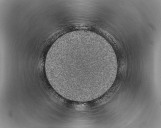 X0000111360513200908211300