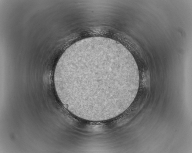 X0000111360514200908211300