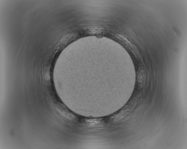 X0000111360516200908211259