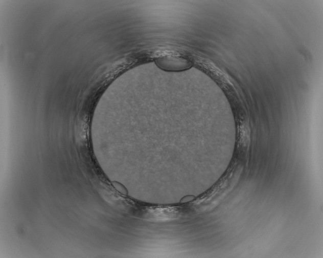 X0000111360517200908211259
