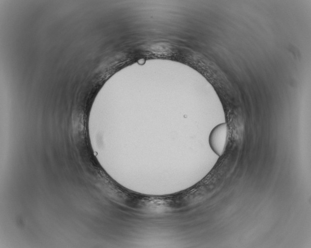 X0000111360518200908211259