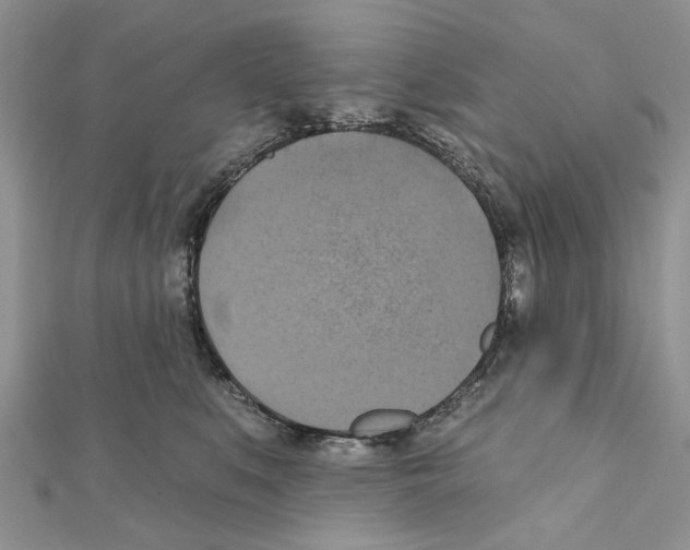 X0000111360519200908211259