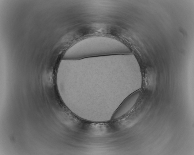 X0000111360520200908211259
