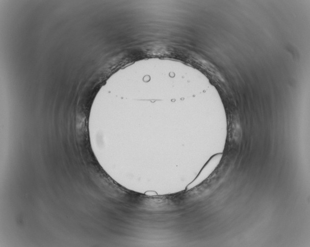 X0000111360521200908211259