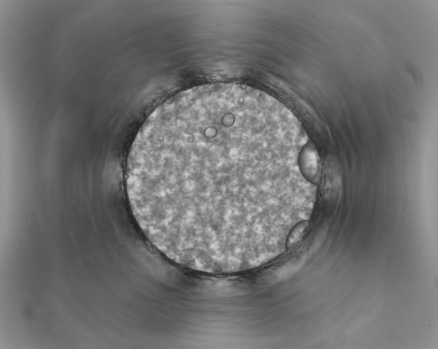 X0000111360523200908211259
