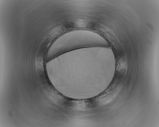 X0000111360524200908211259