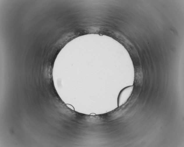 X0000111360525200908211259