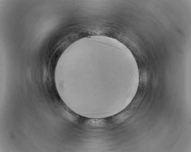 X0000111360526200908211259