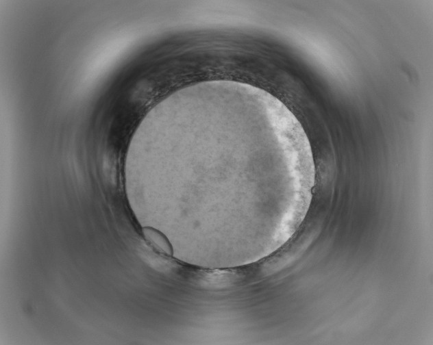 X0000111360527200908211259