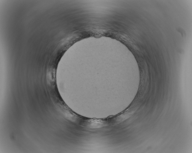 X0000111360528200908211259