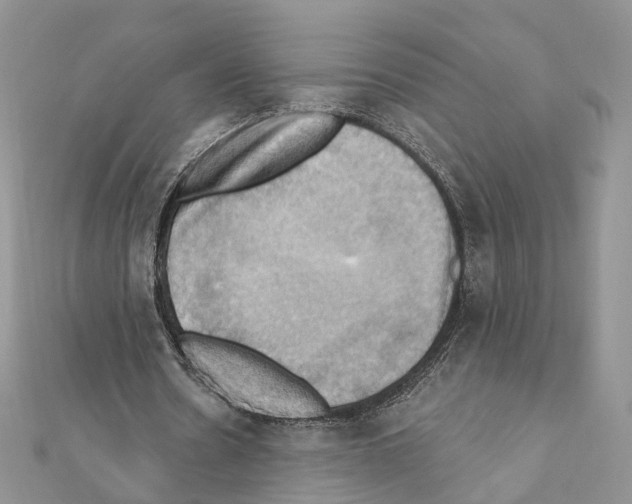 X0000111360530200908211259