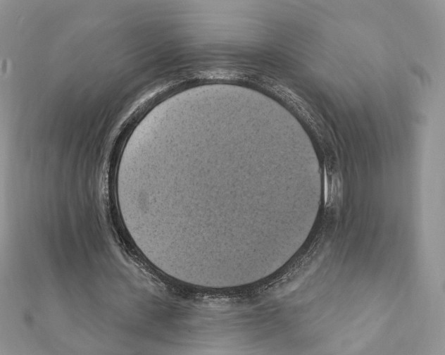 X0000111360531200908211259