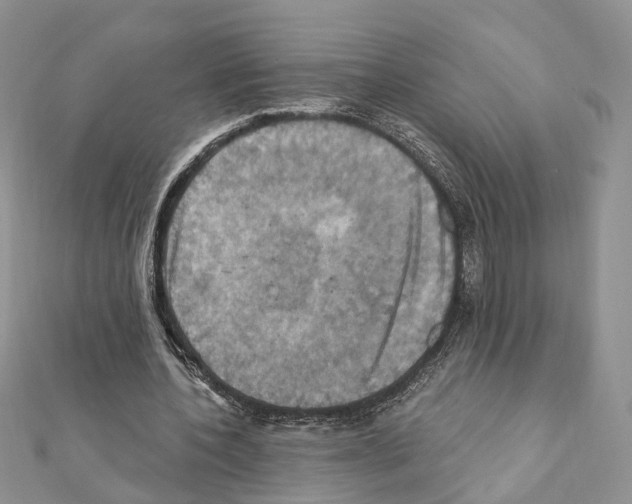 X0000111360532200908211259