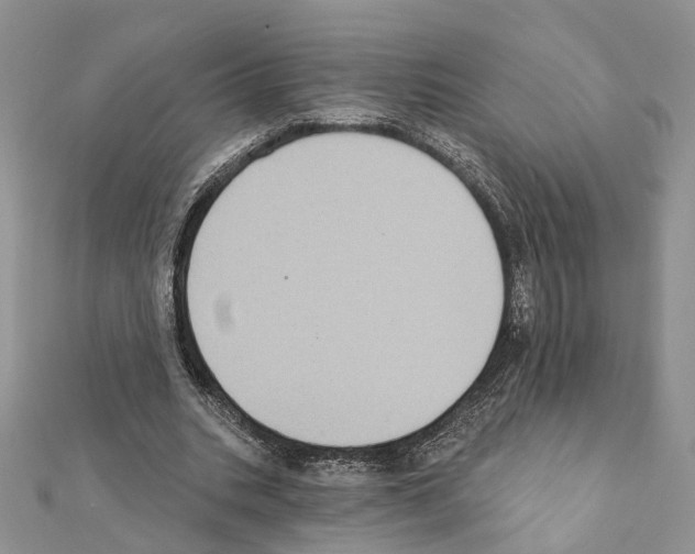 X0000111360535200908211259