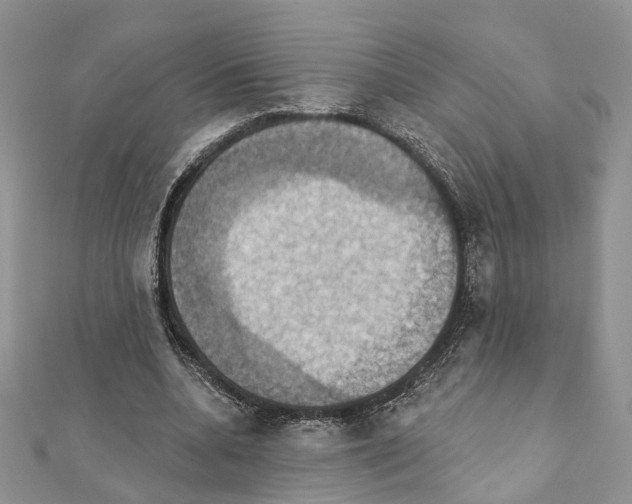 X0000111360536200908211259
