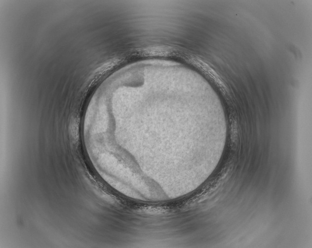 X0000111360537200908211259