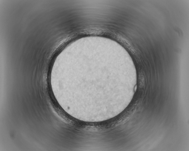 X0000111360538200908211259